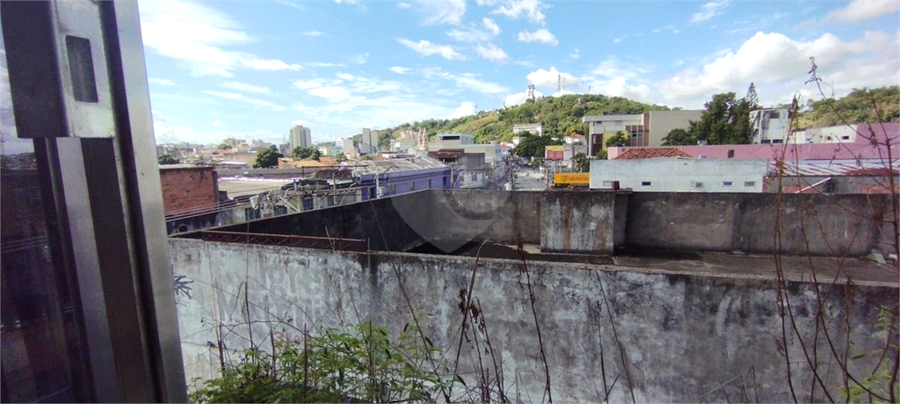 Foto REO1095685