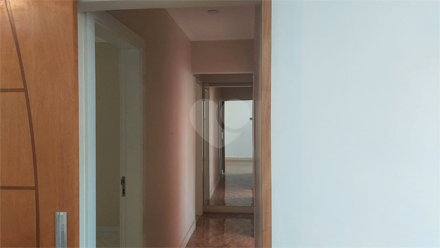 Foto REO1095686