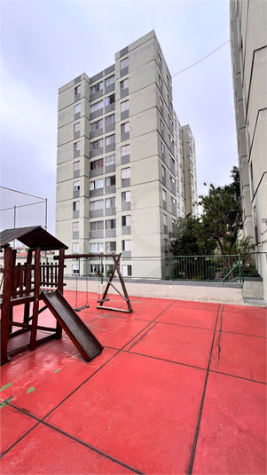Foto REO1095690