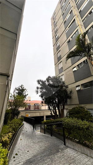 Foto REO1095690