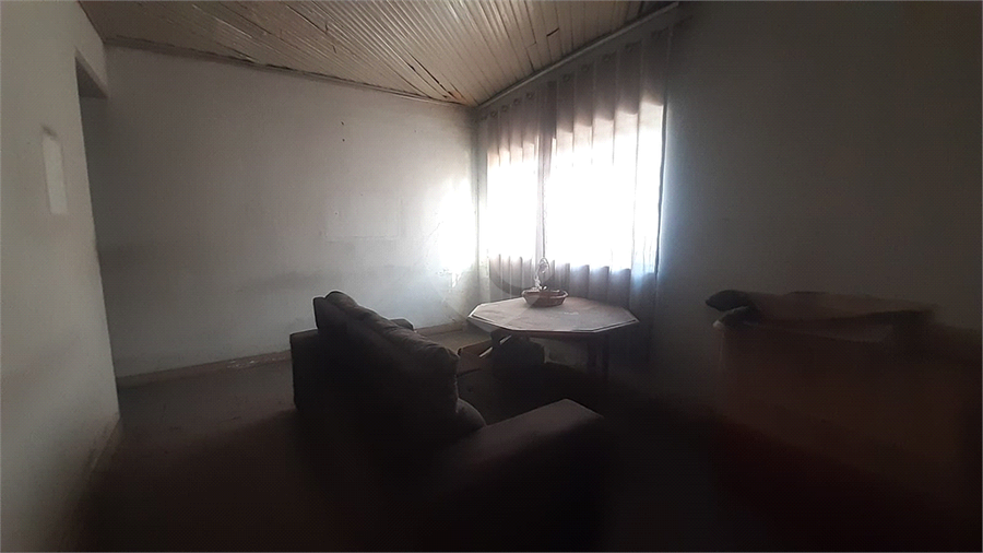Foto REO1095691