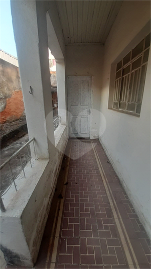 Foto REO1095691