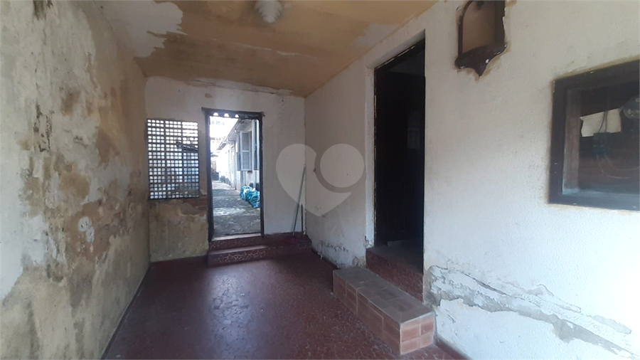 Foto REO1095691