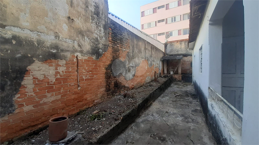 Foto REO1095691