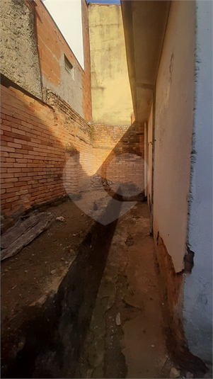 Foto REO1095691