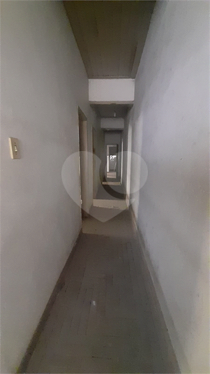 Foto REO1095691