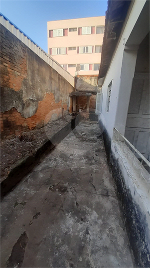 Foto REO1095691