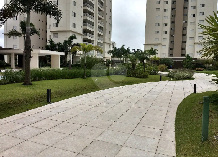Foto REO1095694