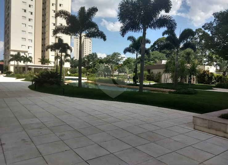 Foto REO1095694