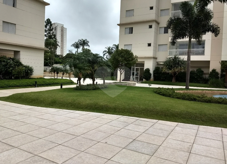Foto REO1095694