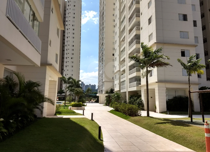 Foto REO1095694