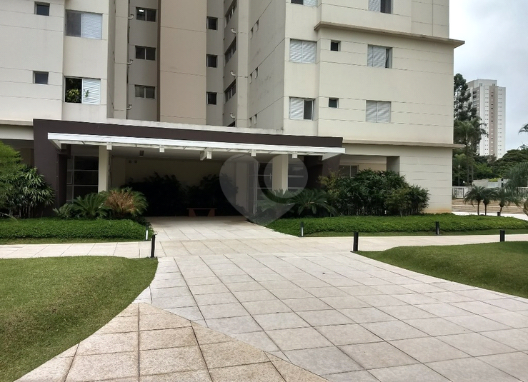 Foto REO1095694