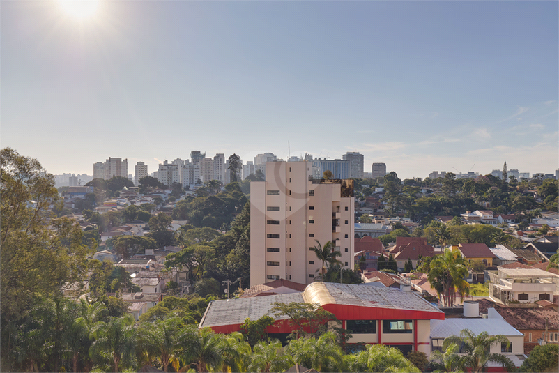 Foto REO1095707