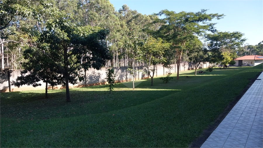 Foto REO1095710