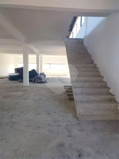 Foto REO1095711