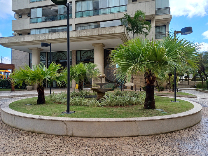 Foto REO1095715