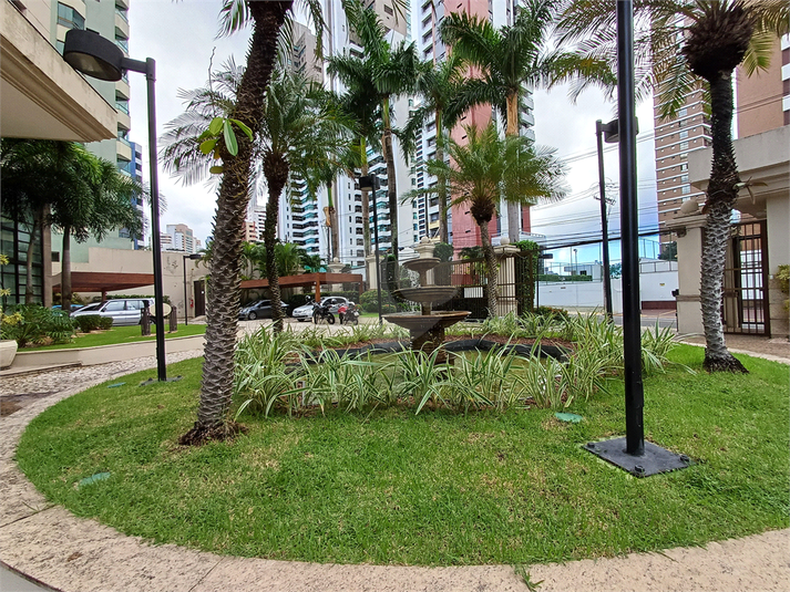 Foto REO1095715