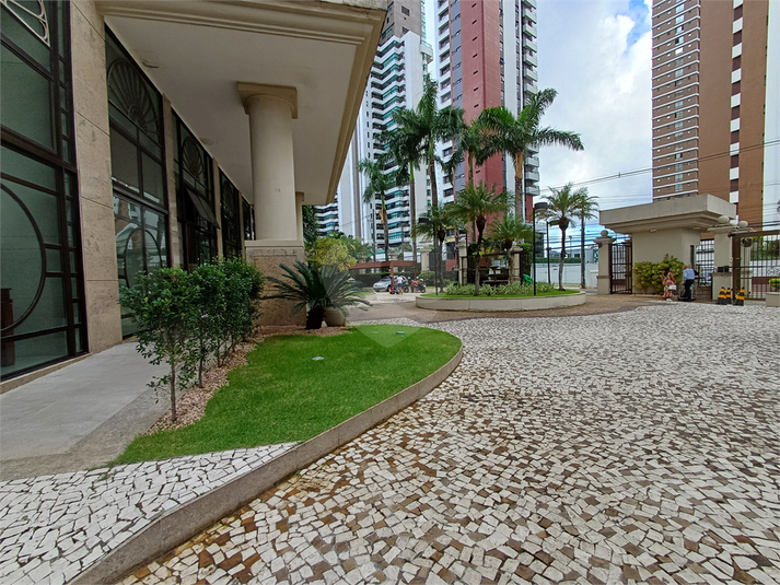 Foto REO1095715