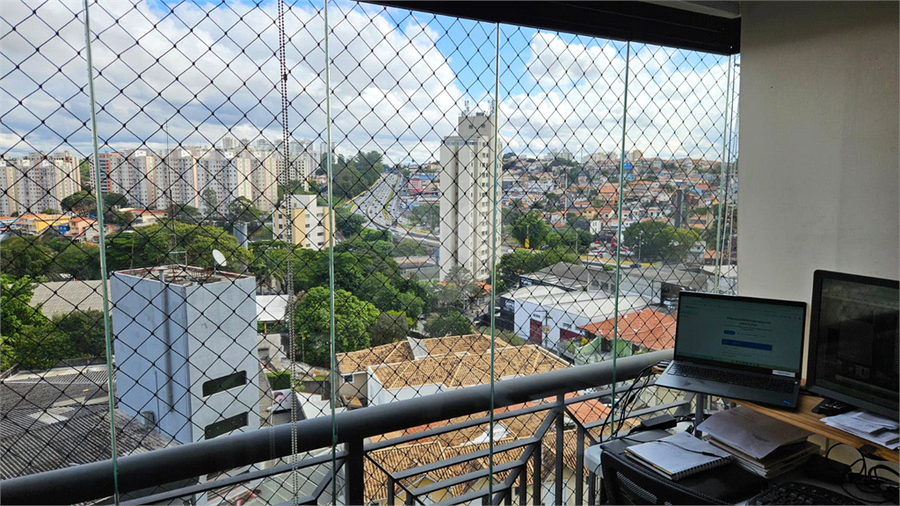 Foto REO1095716