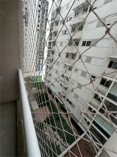 Foto REO1095718
