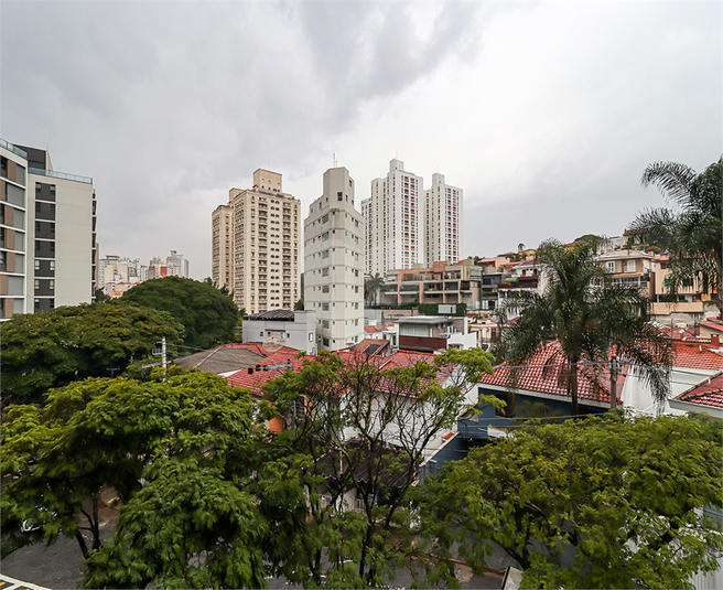 Foto REO1095725