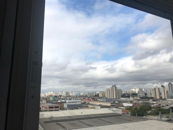 Foto REO1095729