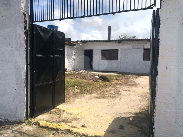 Foto REO1095767
