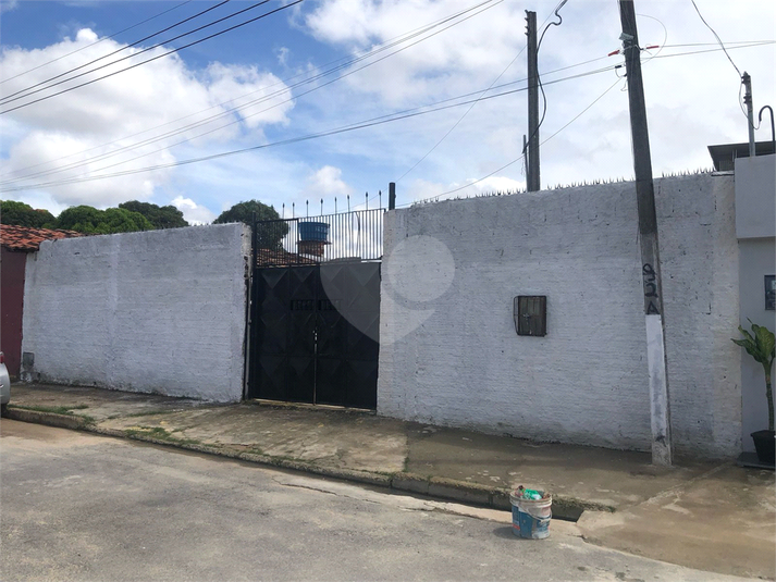 Foto REO1095767