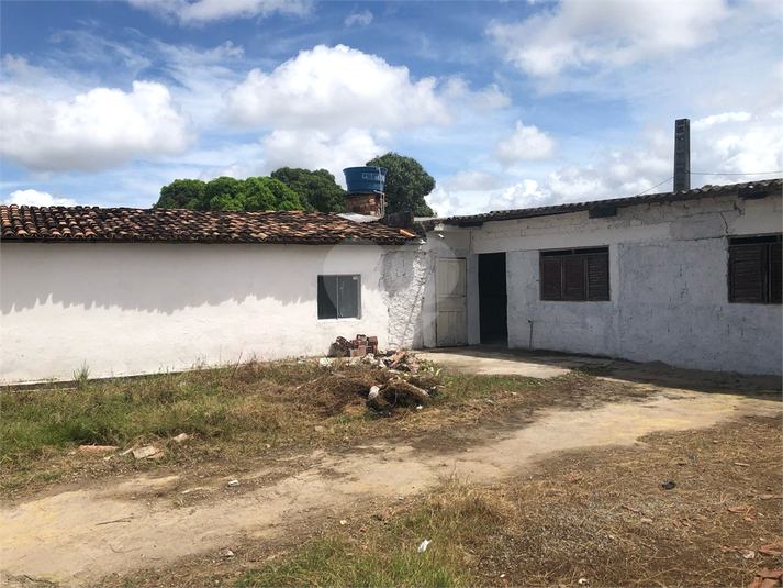 Foto REO1095767