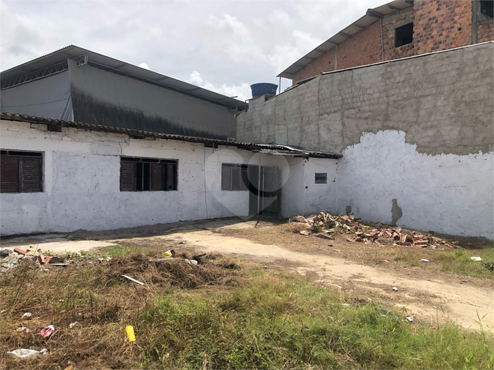 Foto REO1095767