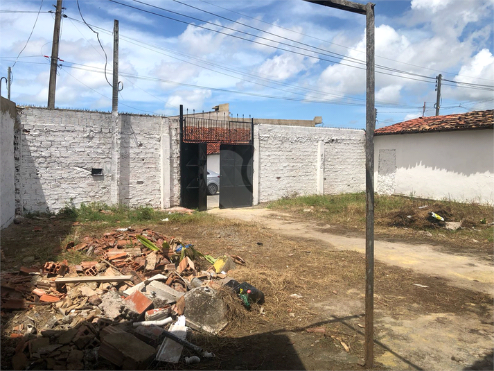 Foto REO1095767
