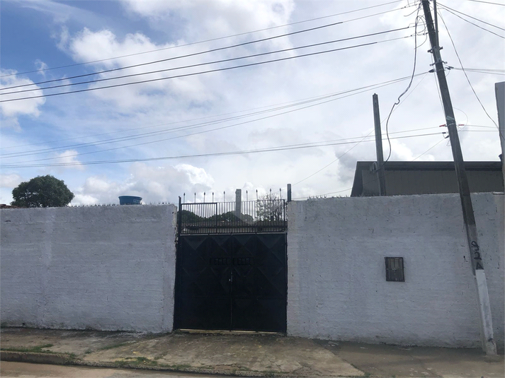 Foto REO1095767