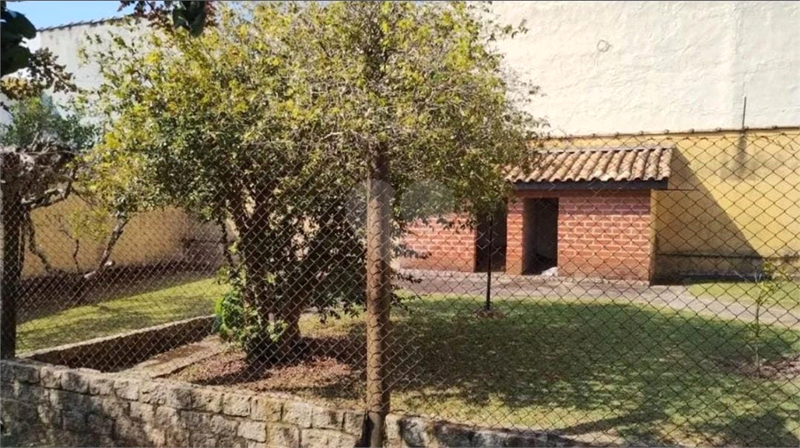 Foto REO1095777