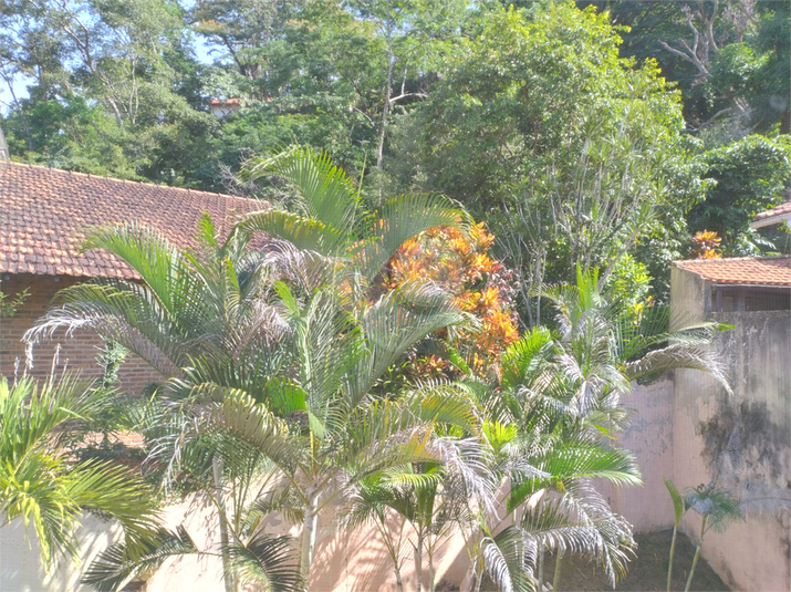 Foto REO1095781