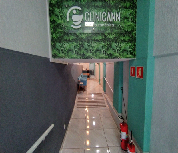 Foto REO1095782