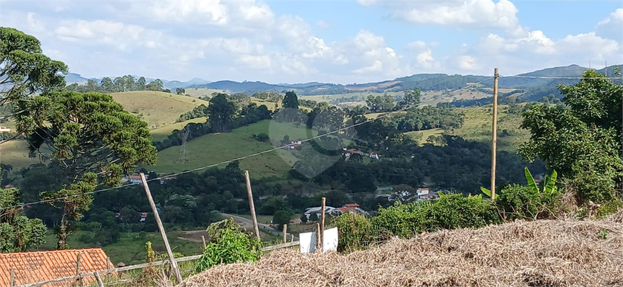 Foto REO1095783