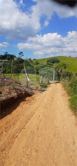 Foto REO1095783