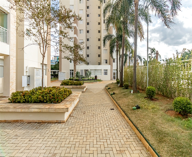 Foto REO1095788
