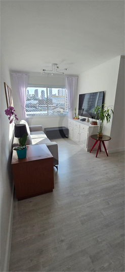 Foto REO1095801
