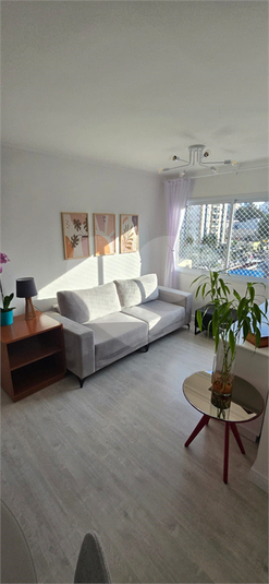 Foto REO1095801