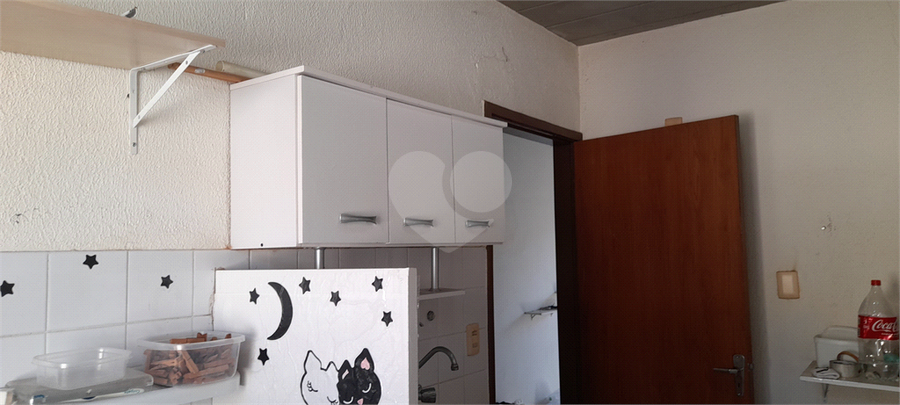 Foto REO1095812