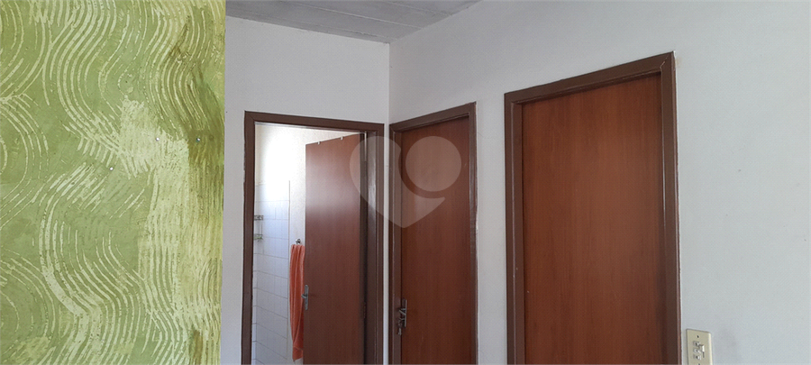 Foto REO1095812