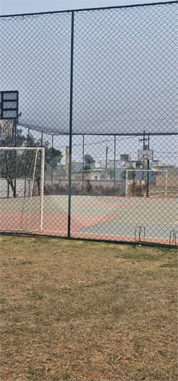 Foto REO1095814