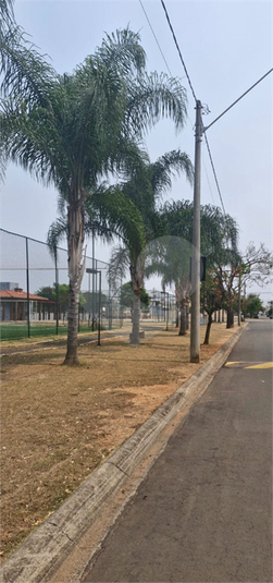 Foto REO1095814