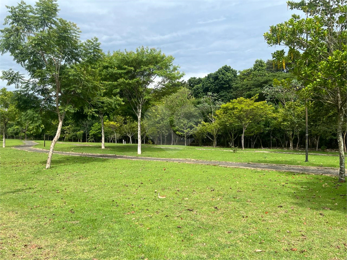 Foto REO1095814