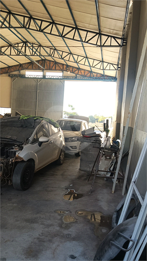 Foto REO1095816