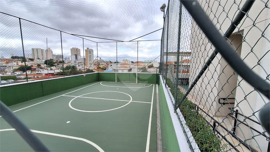 Foto REO1095823