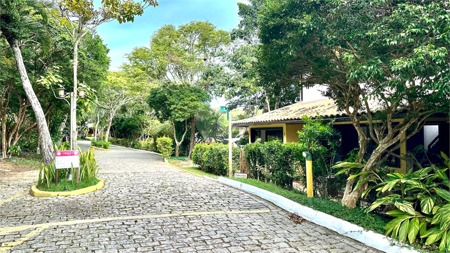Foto REO1095833