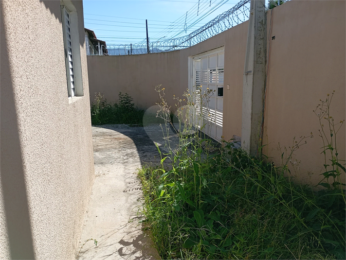 Foto REO1095851