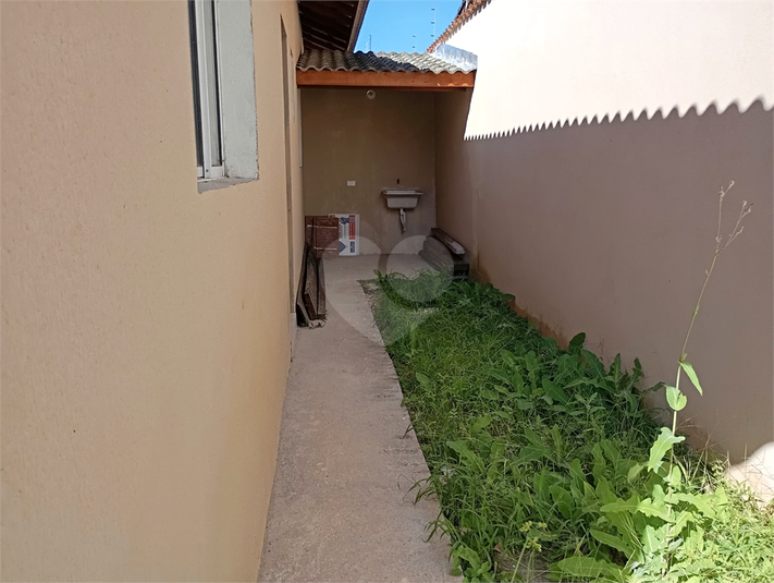 Foto REO1095851